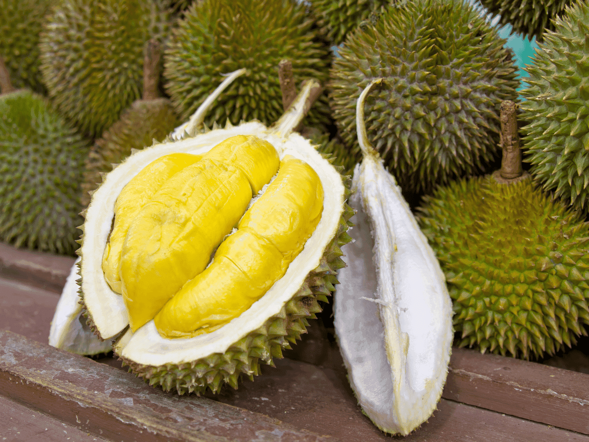 Durian