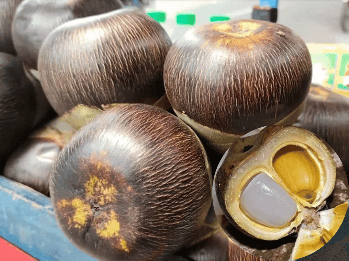 Buah Lontar or Palmyra Palm Fruit