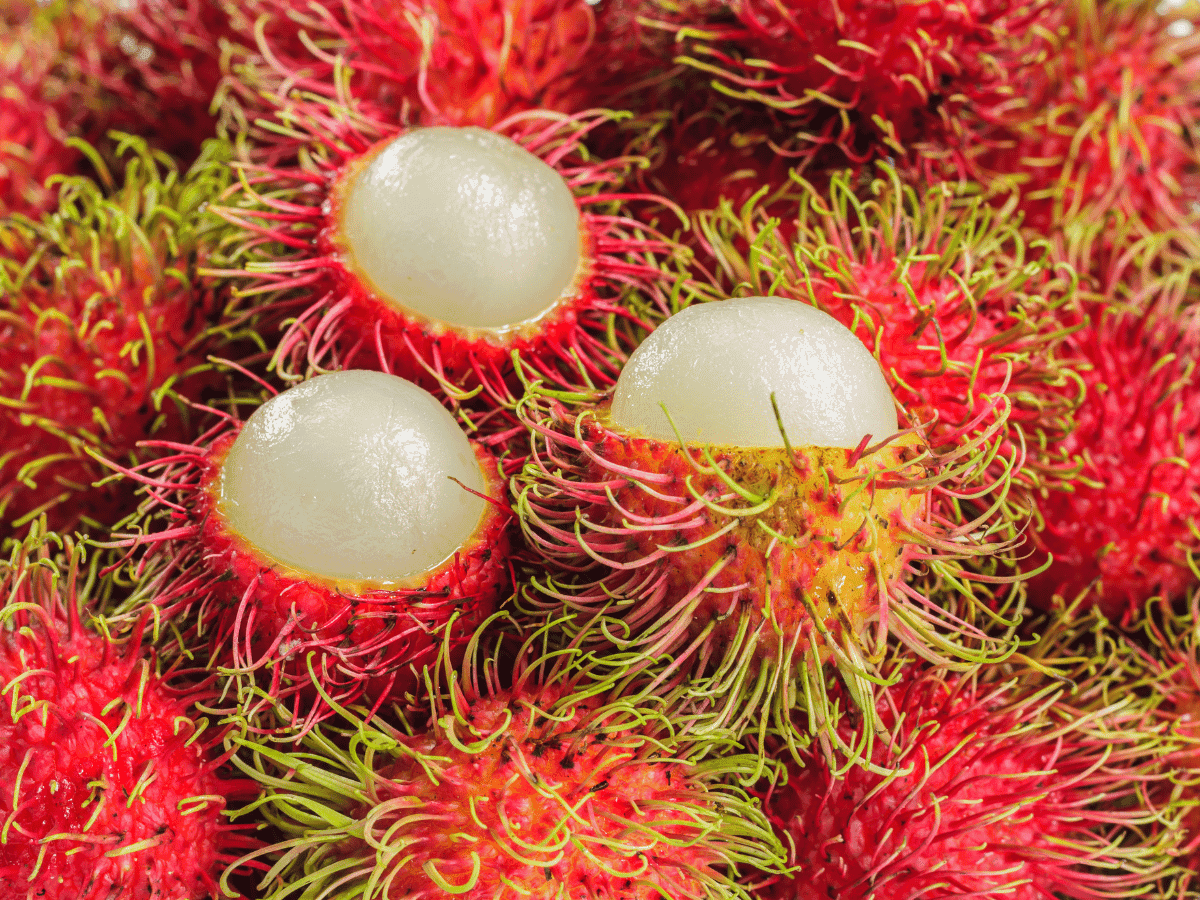 Rambutan