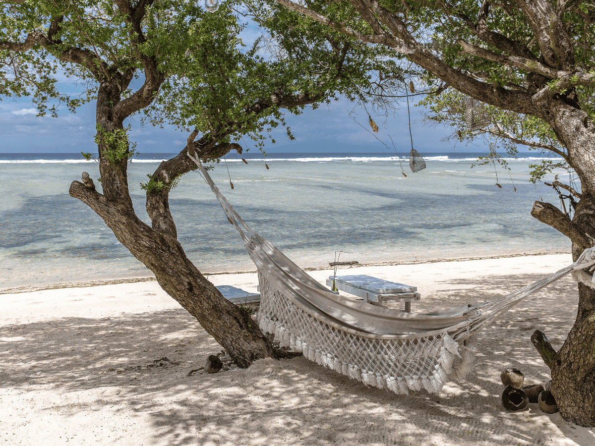 Hammock by the beach