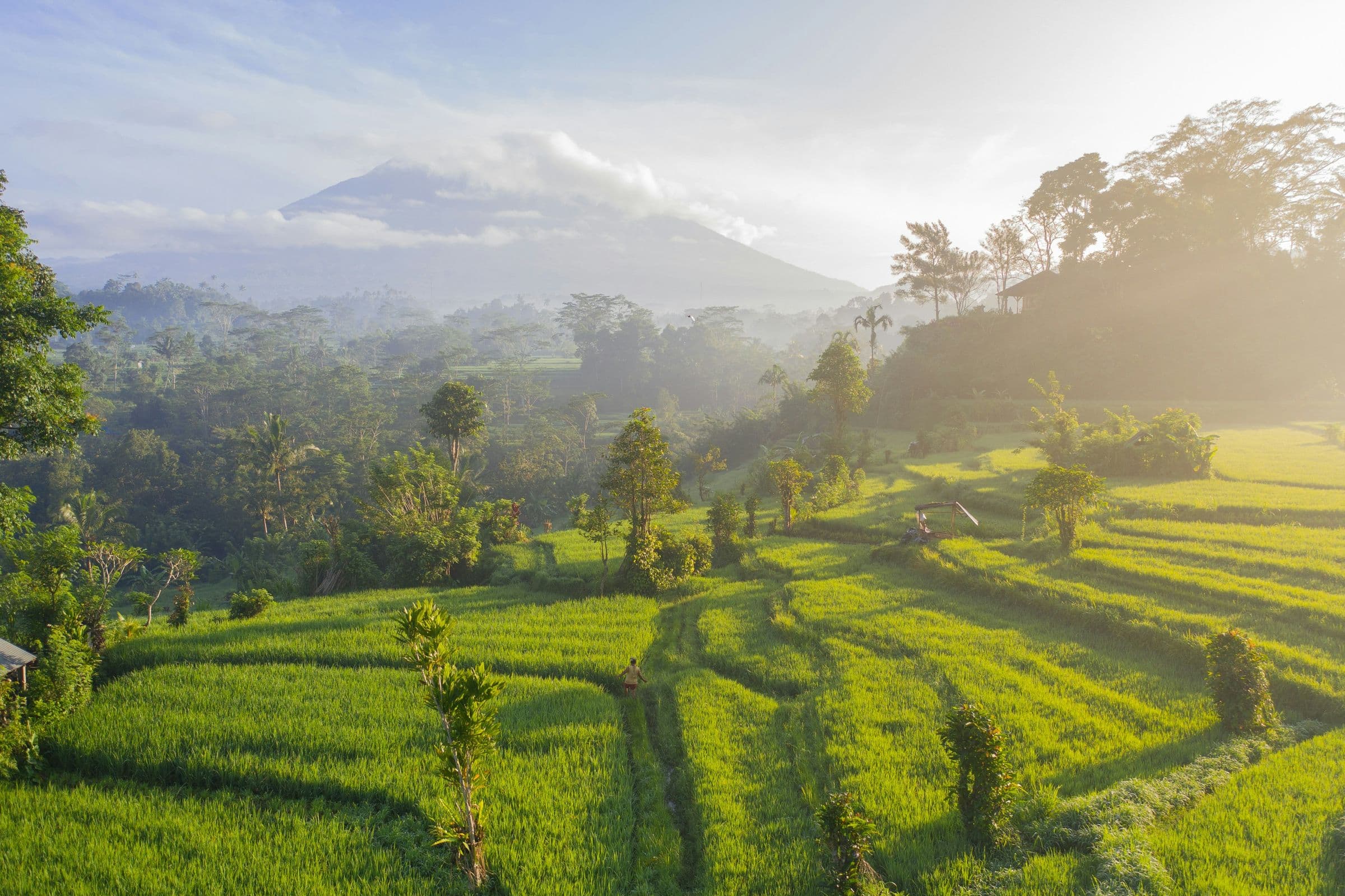 Bali Ready travel toolkit background image
