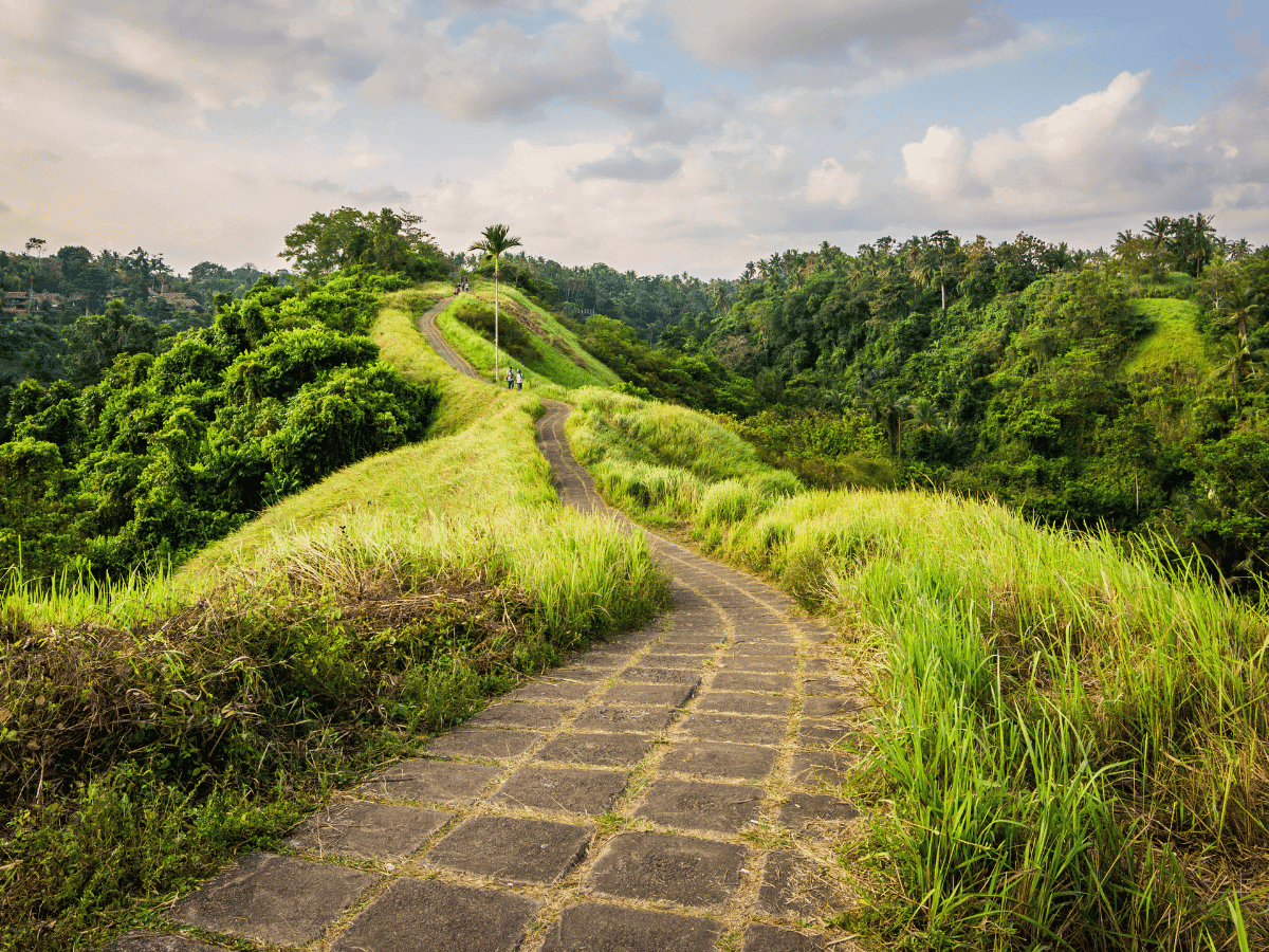 Campuhan Ridge Walk